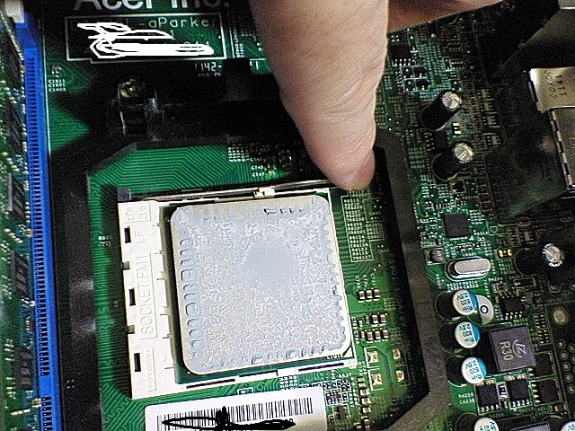NEC_2332.JPG