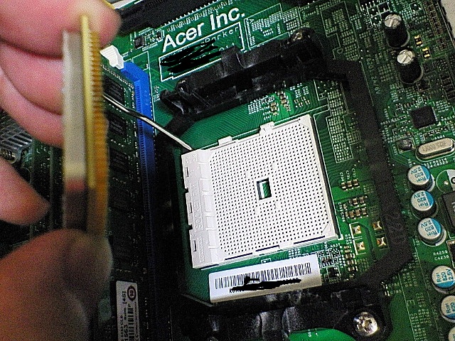 NEC_2333.JPG