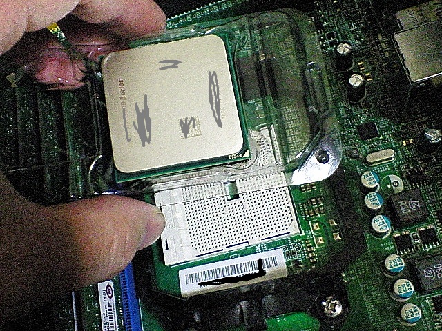 NEC_2334.JPG