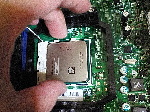 NEC_2335.JPG