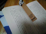 CA390015.JPG