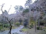 CA390128.JPG