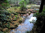 CA390140.JPG