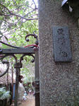 CA390145.JPG