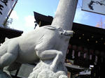CA390198.JPG