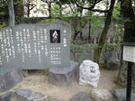 CA390553.JPG