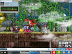 Maple0020.jpg