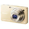 DSC-WX1