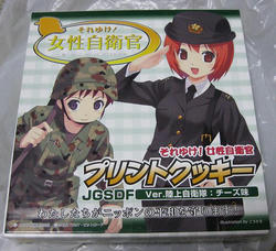 JGSDF.jpg