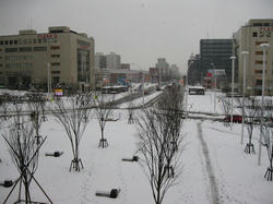 新潟駅