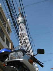 skytree