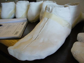 P1020303aaa.JPG