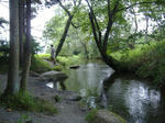 DSCF1418.JPG