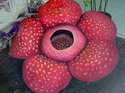 200803_23_74_f0157974_1452970.jpg