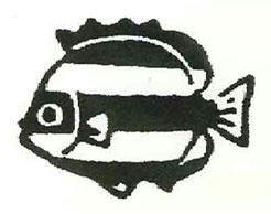 6a98b100.jpg