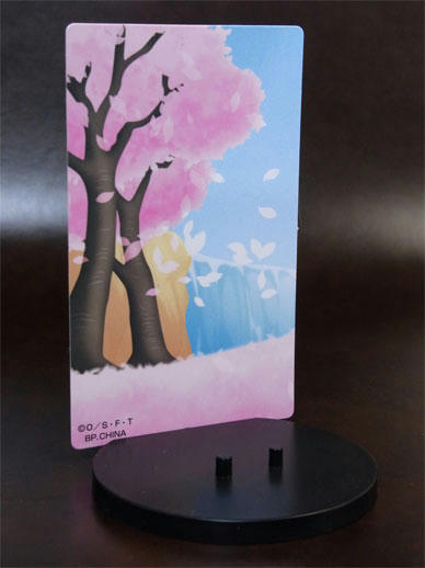 cardstandr025.jpg