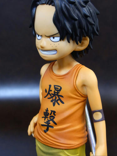 gc-ace013.jpg