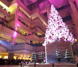 new_snow111208_01.jpg