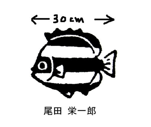 背の順 キャラクター身長のまとめ World Scale Logpiece ワンピースブログ シャボンディ諸島より配信中