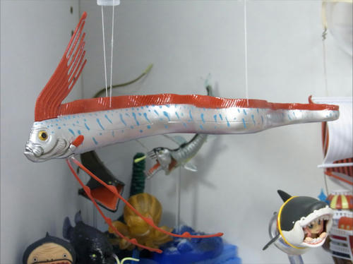 colorata016.jpg