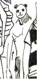 pandaman291.jpg
