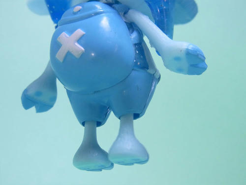 chopq008.jpg