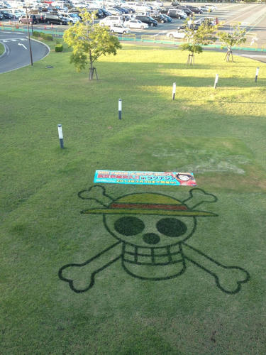 545465_317614735002725_1999718078_n.jpg