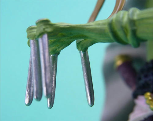 sesh018.jpg
