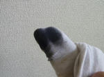 P20110506-stain-remover-3.JPG