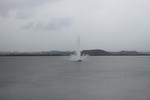 IMG_1529.JPG