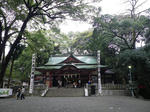 kinomiyajinja2.JPG