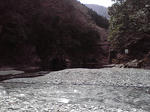d7e79569.jpg