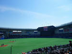 IMGP0051.JPG