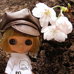 sakura2.JPG