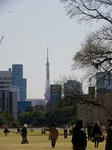 IMGP4098.JPG