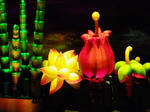 IMGP6053.JPG