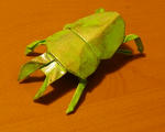 IMGP6803.JPG