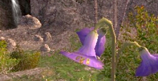 クリックで全景