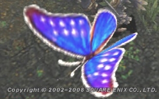 しつこくまたちょうちょ