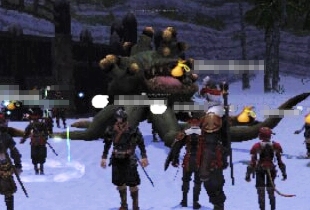 裏なうえに夜だったみたいで画面暗すぎ