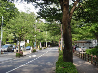 ゲゲゲの深大寺ツアー♪(1)