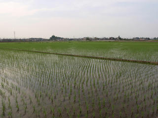 過酷な5県越境ツアー(4)