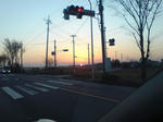 千葉多肉聖地巡礼ツアー (2)