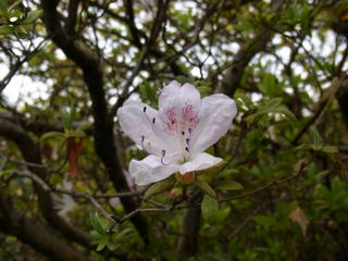 とある公園にて (3)