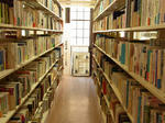 RIMG0128.JPG