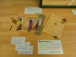 RIMG0502.JPG