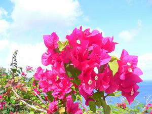 guam1.JPG