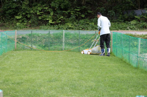 06067.jpg