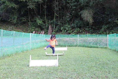 08012.jpg