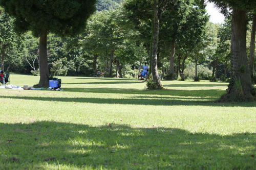 08083.jpg